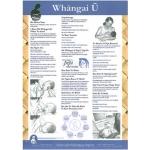 Whāngai Ū / Breastfeeding 